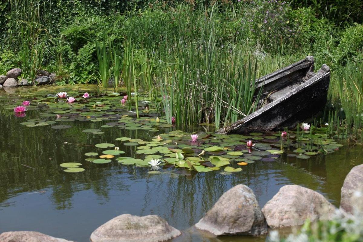Ferienhaus Jule Pudagla Zewnętrze zdjęcie